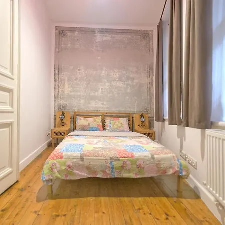 Stylish & High Ceiling Around Galata Tower Appartement Istanboel